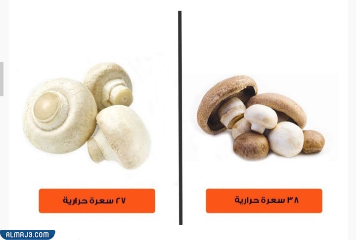 الكربوهيدرات الصحية لإنقاص الوزن-الفطر أو المشروم أو عش الغراب