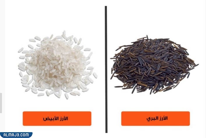 الكربوهيدرات الصحية لإنقاص الوزن - الأرز