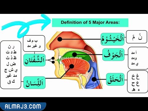 مخارج الحروف سبعة عشر