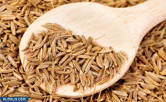 وصفات لزيادة حليب الأم