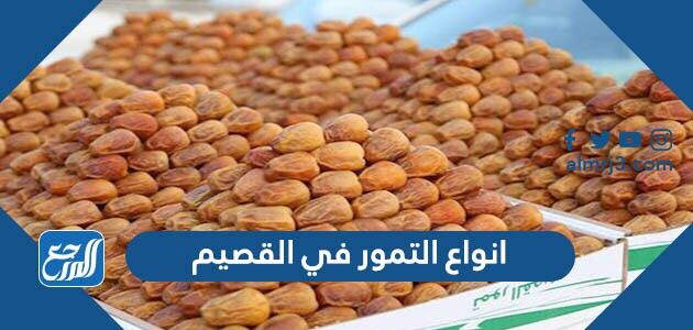 انواع التمور في القصيم