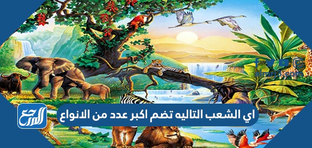 اي الشعب التاليه تضم اكبر عدد من الانواع