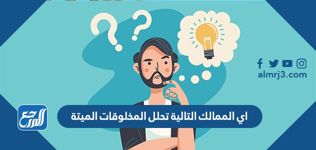 اي الممالك التالية تحلل المخلوقات الميتة