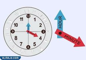 تثبيت العقارب