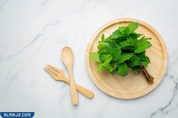 تجربتي-مع-النعناع-للشعر-