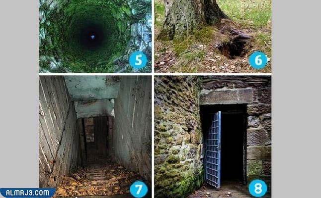 تحليل الشخصية عن طريق الصور المخيفة