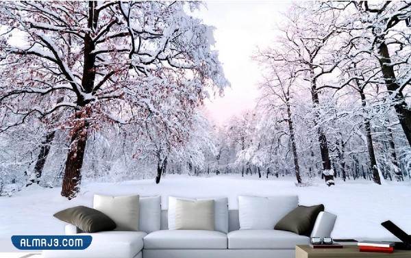 تصاميم ورق حائط 3D للأشجار