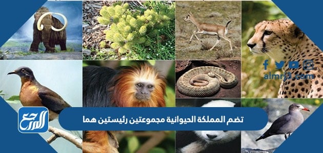 منها مجموعة الفقاريات سبع طوائف الحيوانات الفقارية