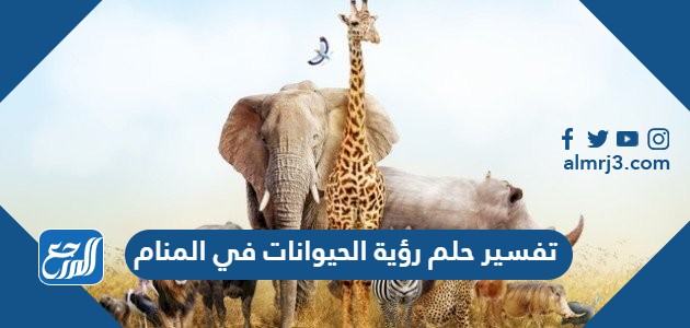 تفسير حلم رؤية الحيوانات في المنام