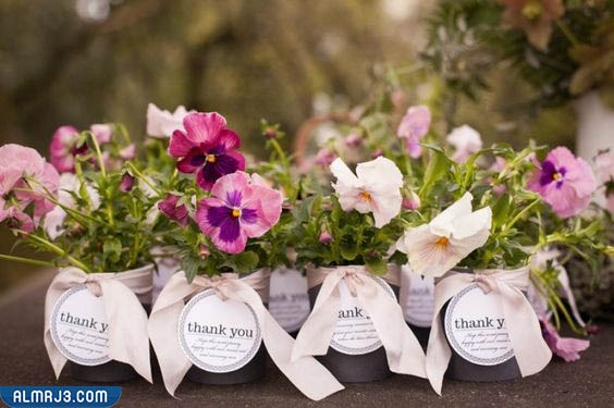 توزيعات زواج انستقرام