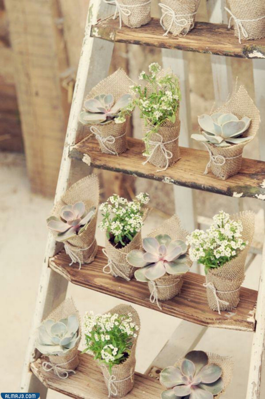 توزيعات زواج فخمة انستقرام