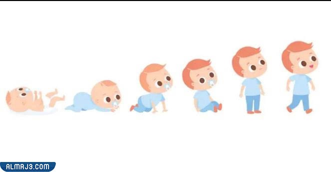 ثالثًا فوائد التوت البري المجفف بالنسبة لنمو الأطفال