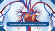 جهاز الدوران الذي يدفع الدم مباشرة في انسجة الحيوان هو