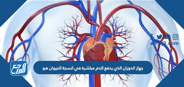 جهاز الدوران الذي يدفع الدم مباشرة في انسجة الحيوان هو