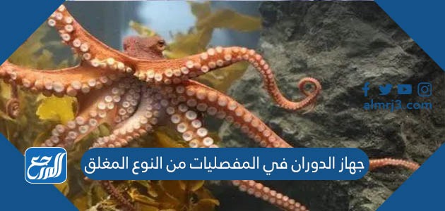 جهاز الدوران في المفصليات من النوع المغلق