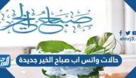 حالات واتس اب صباح الخير جديدة 2025