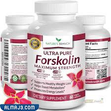 حبوب forskolin