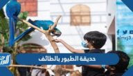 حديقة الطيور بالطائف ، أنواع الطيور وأسعارها ومواعيد الدخول