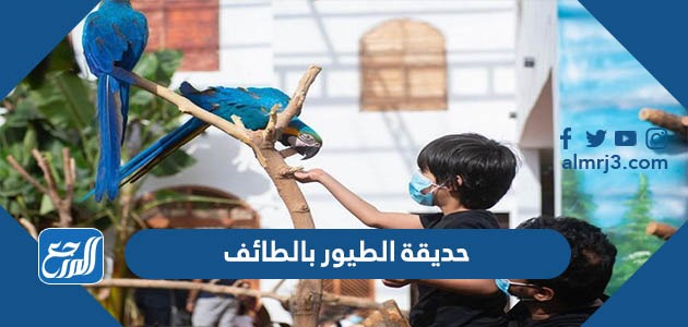 حديقة الطيور بالطائف