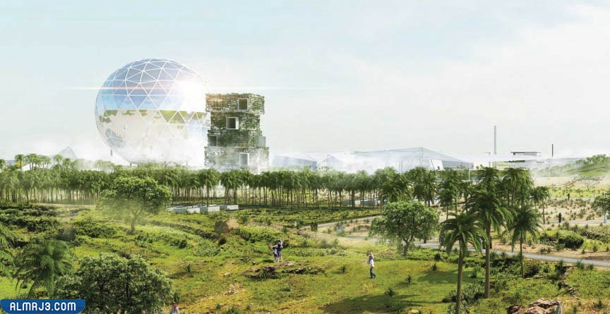 حديقة الملك سلمان رئة الرياض الخضراء