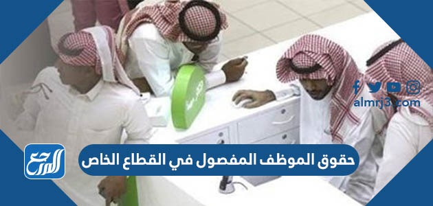 حقوق الموظف المفصول في القطاع الخاص