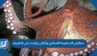 خصائص الاخطبوط العملاق وأماكن تواجده في الطبيعة