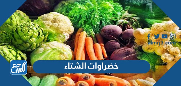 خضراوات الشتاء