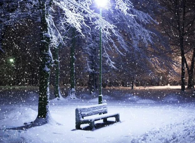 أحلى صور معبرة عن برد الشتاء 2022