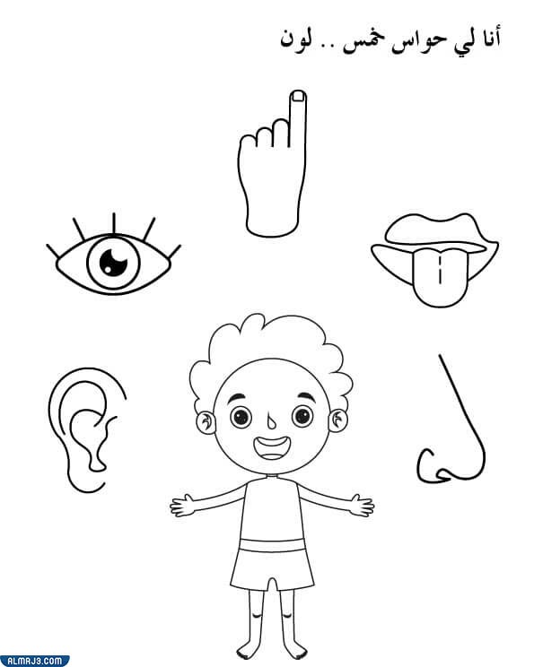 رسومات اطفال للتلوين