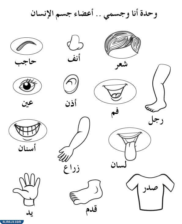 رسومات اطفال للتلوين