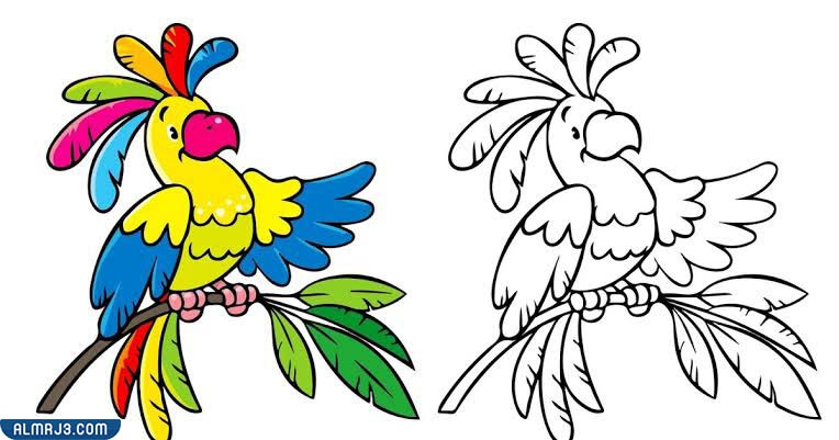 رسومات اطفال ملونة