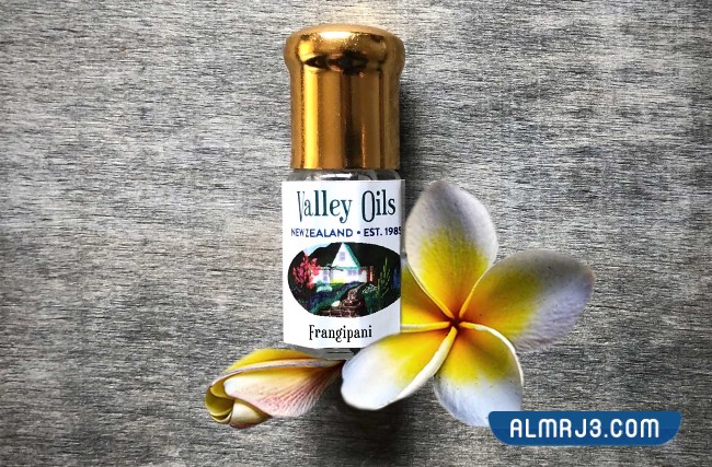 زجاجة عطر صغيرة