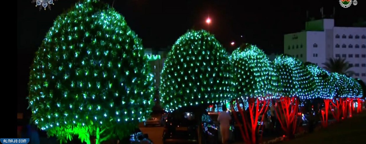 زينة العيد الوطني العماني على الأشجار