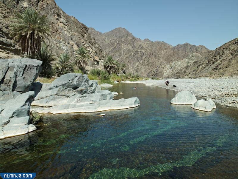 سهول الباطنة في سلطنة عمان