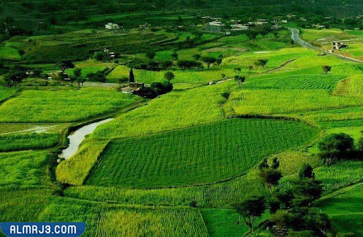 سهول اليمن بمناظرها الخلابة