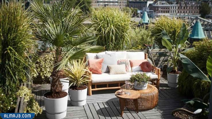 صور افكار ديكورات حدائق منزلية 2022