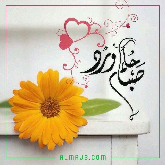 بطاقات صباح الخير روعه