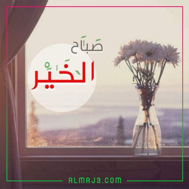 صور حالات واتس اب صباح الخير جديدة