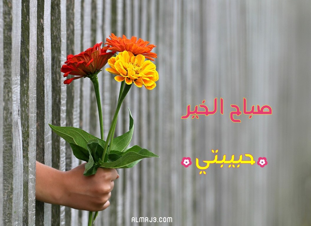 صور صباح الخير رومانسية للزوجة