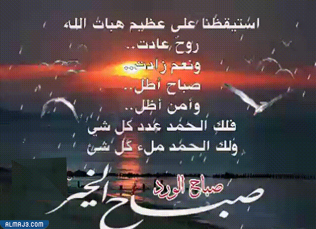 خلفيات صباحية متحركة
