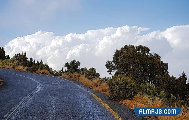 صور منتزه السحاب في أبها