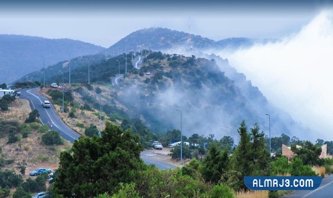 صور منتزه السحاب في أبها