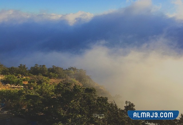 صور منتزه السحاب في أبها