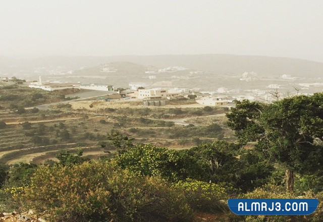 صور منتزه السحاب في أبها