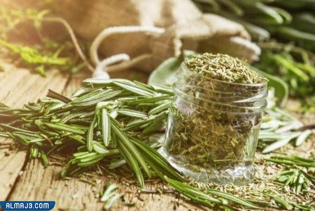 طريقة استحدام خليط المراميه واكليل الجبل وخل التفاح