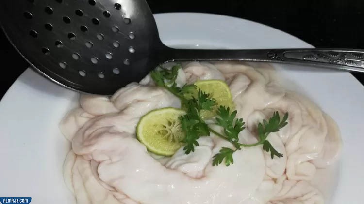 طريقة تنظيف الممبار المصري