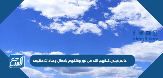 عالم غيبي خلقهم الله من نور وكلفهم باعمال وعبادات عظيمه