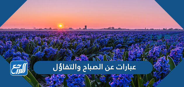 عبارات عن الصباح والتفاؤل 2026 اجمل كلمات وصور عن التفاؤل