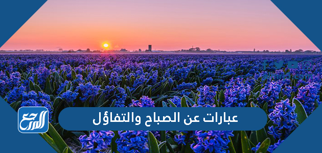 عبارات عن الصباح والتفاؤل