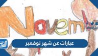 عبارات عن شهر نوفمبر 2025